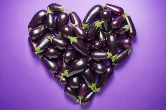 Aubergine