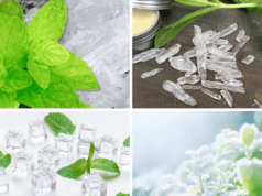 Voici 5 utilisations étonnantes des cristaux de menthol Cristaux menthe menthol