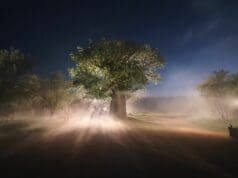 HANTÉS, votre série avec toujours plus d’intrigues