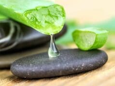 LES MULTIPLES BIENFAITS DE L’ALOE VERA POUR L’USAGE INTERNE L’ALOE VERA