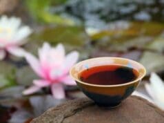 Le lotus, la plante aux multiples bienfaits lotus