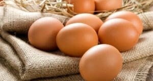 Les bienfaits des oeufs