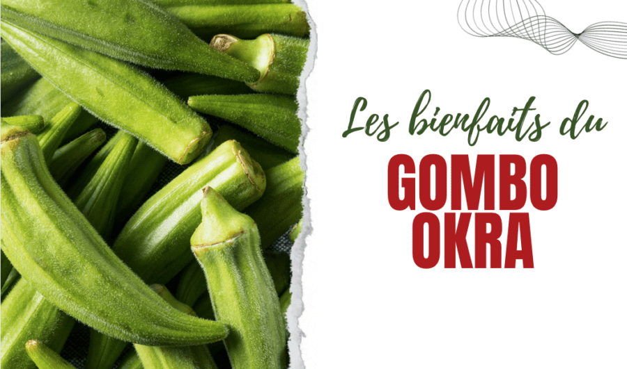 Les bienfaits de l'okra, également connu sous le nom de "gombo" ou