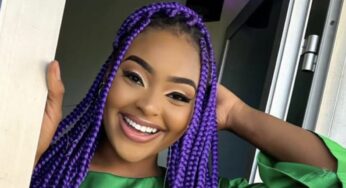 Aza Andréa : Élégance Colorée et Sublime avec ses Tresses