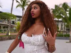 Zenka en Mini Robe Brodée : Éclat et Audace Captivants !